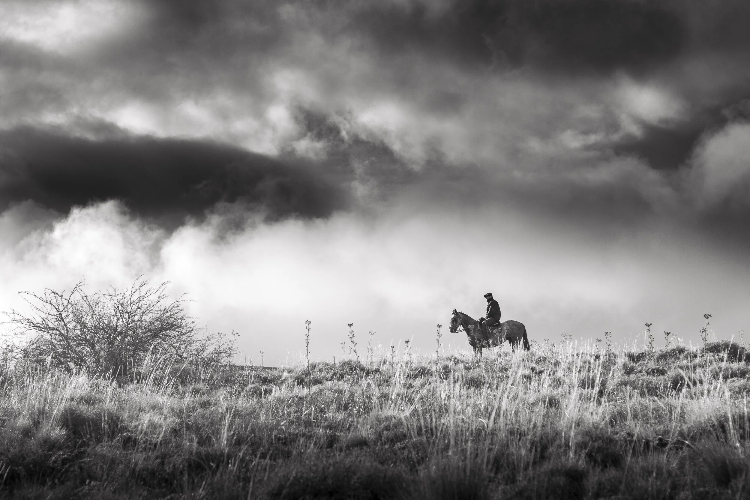 Black and white photo of a person riding a horse in a grassy field with cloudy sky overhead.