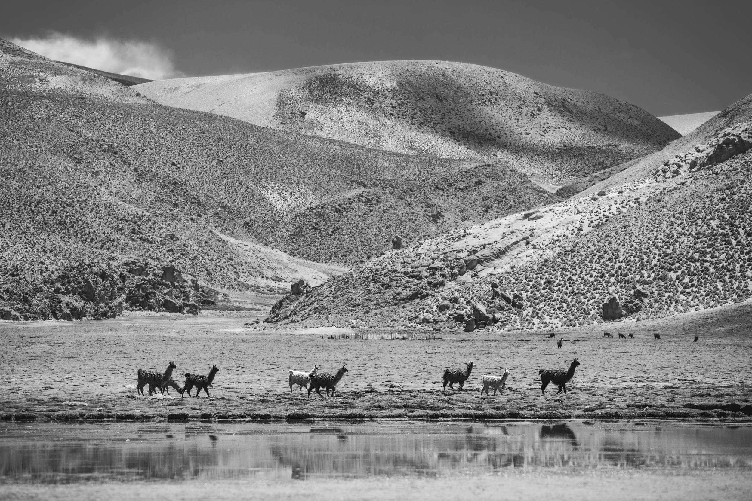 _MG_1448.jpg