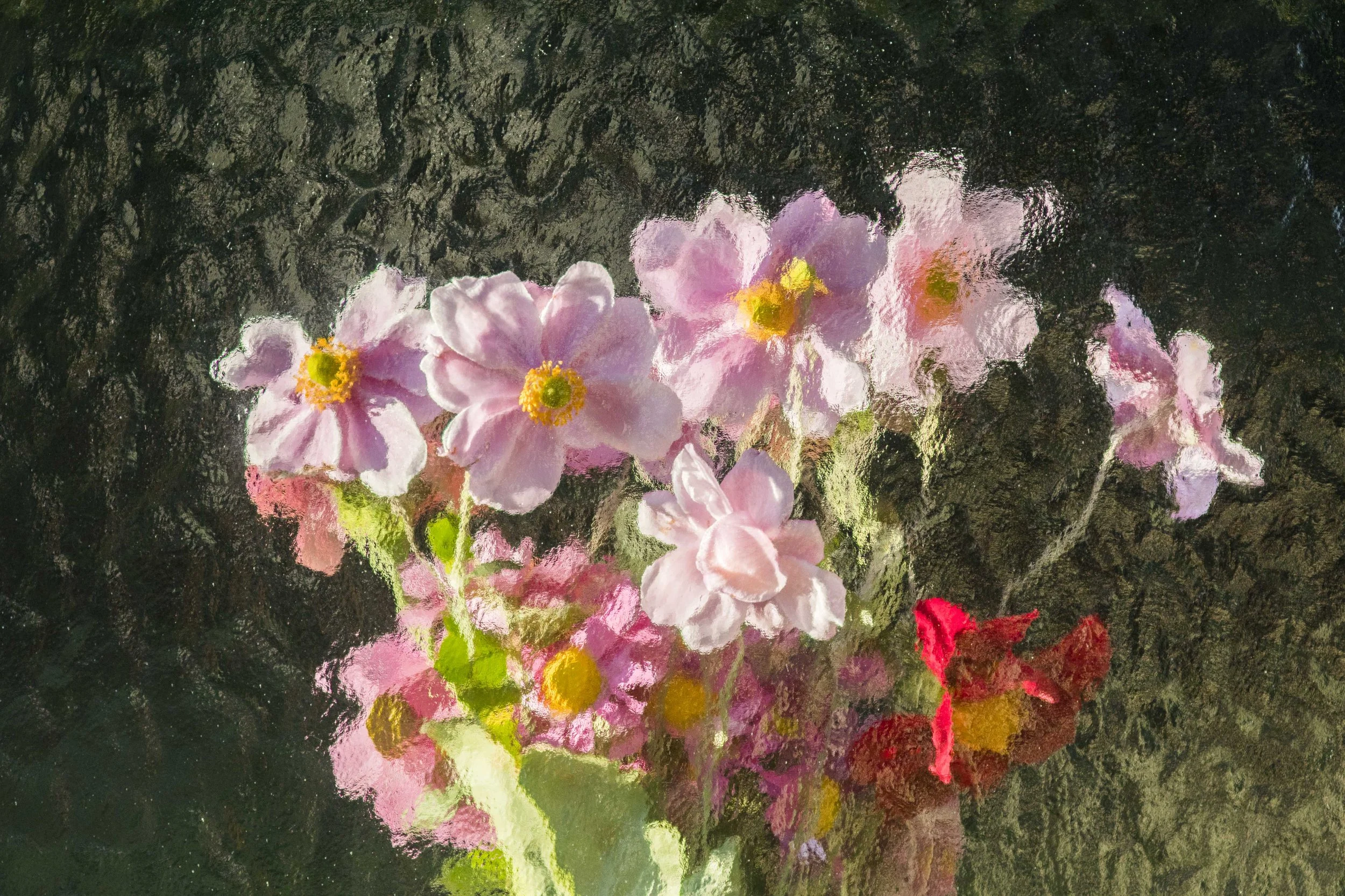 Pink and yellow flowers floating on water, reflecting in the surface with ripples.