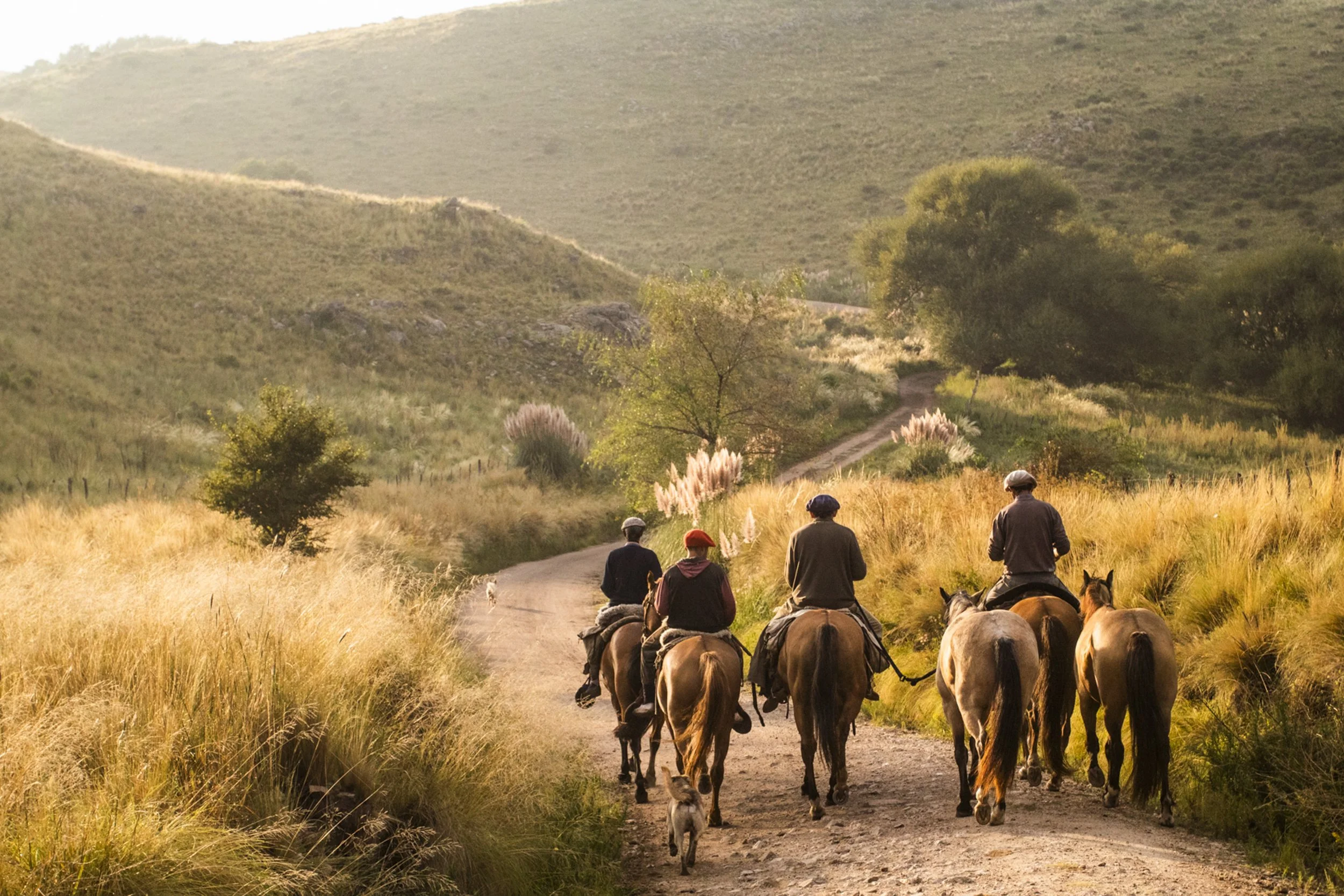 Group of people horseback riding on a dirt trail through grassy fields, with hills in the background and trees along the sides of the trail.