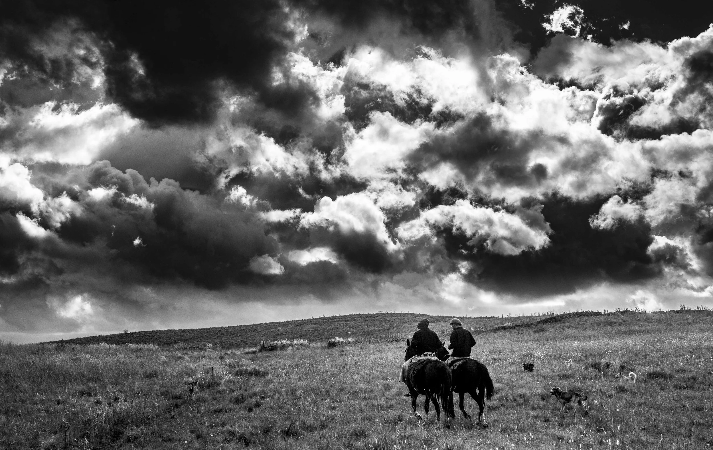 Black and white photo of a cloudy sky over a grassy field with two people and some dogs.