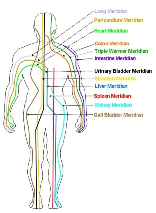 14 primary Meridian Clearing & Balancing