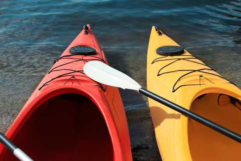 Michigan Summer Insurance Myths
