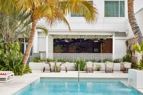 Poolside area with lounge chairs, surrounded by palm trees, in front of a white building with windows.