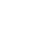 Sarasota Motor Club - exotic car rental sarasota florida - A black shield icon on a white background.