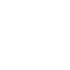 Padlock icon on shield