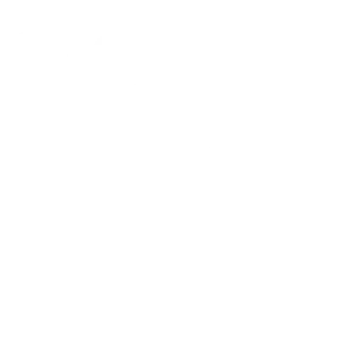 Sarasota Motor Club - Exotic Car Rental Sarasota - A black and white ASCII art of a dollar sign with positive and negative signs around it.