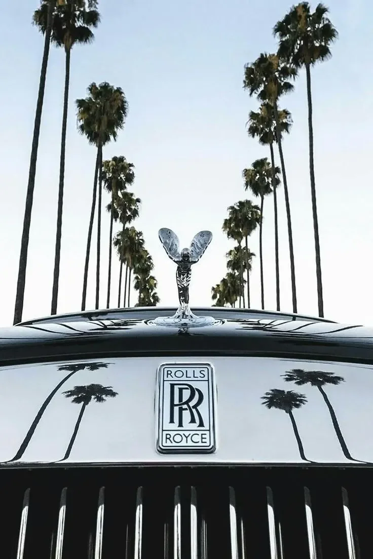 Sarasota Motor Club - Exotic Car Rental Sarasota - Close-up of a Rolls-Royce car hood with the Spirit of Ecstasy hood ornament, reflecting a row of tall palm trees and blue sky.