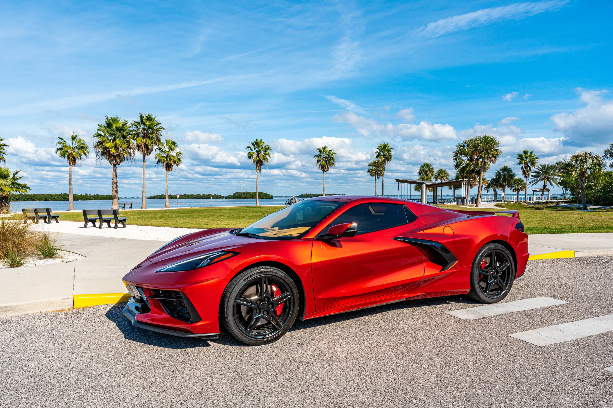 Sarasota Motor Club - private driver wedding Sarasota - A red sports car parked on a street near a grassy park with palm trees, benches, and a body of water under a partly cloudy sky.