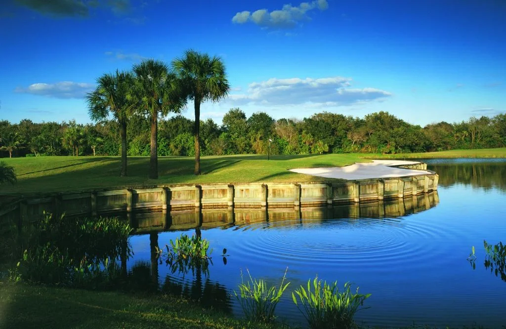 Sarasota Motor Club - Premium Car Service Sarasota - A scenic golf course with a water hazard, three palm trees, and a sandy sand trap under a partly cloudy blue sky.