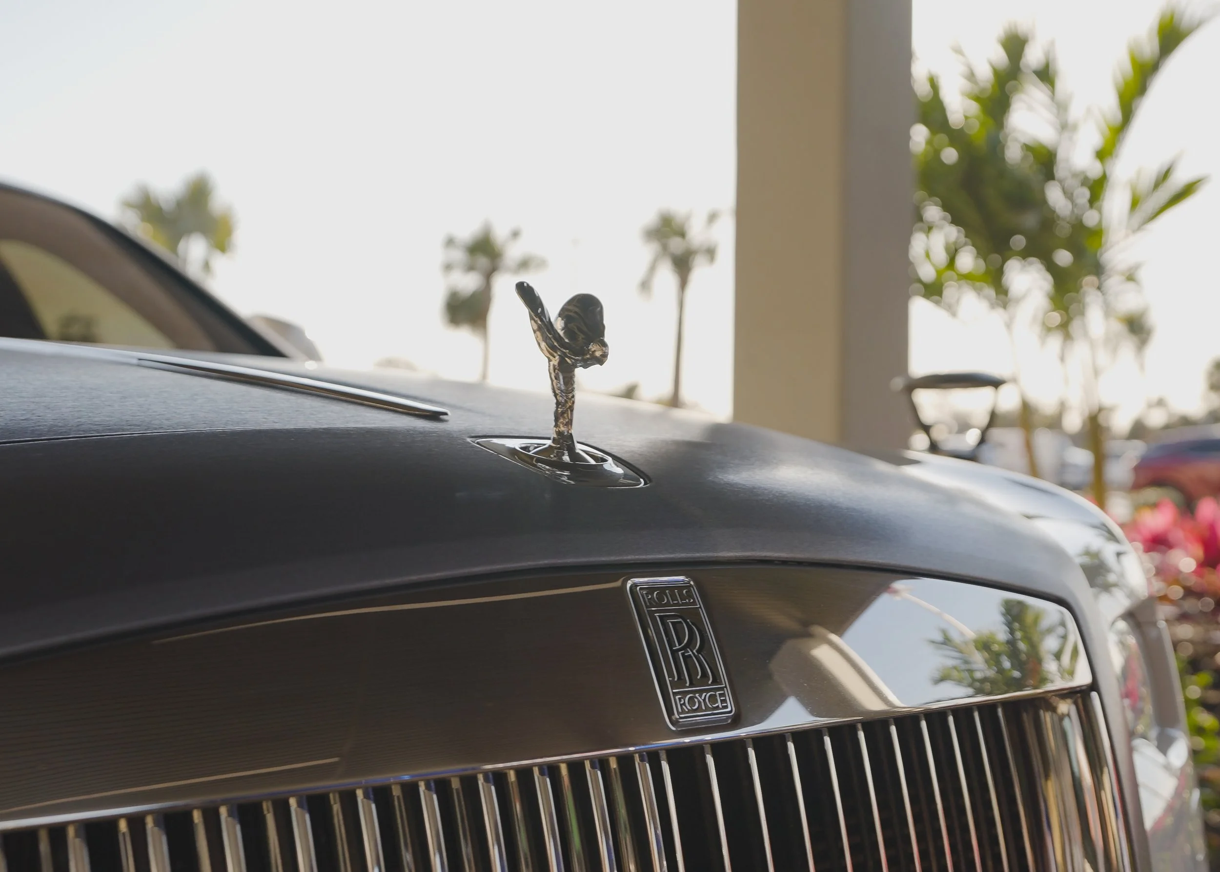 Close-up of a luxury car's front grille and hood ornament, featuring the Rolls-Royce emblem, outdoors with palm trees in the background.