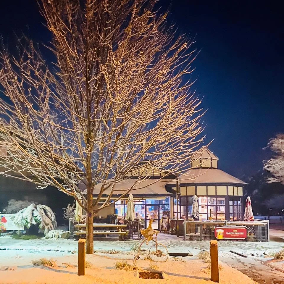 Snow-covered restaurant or cafe with outdoor patio, large leafless tree in foreground, and bicycle sculpture in front, illuminated at night.