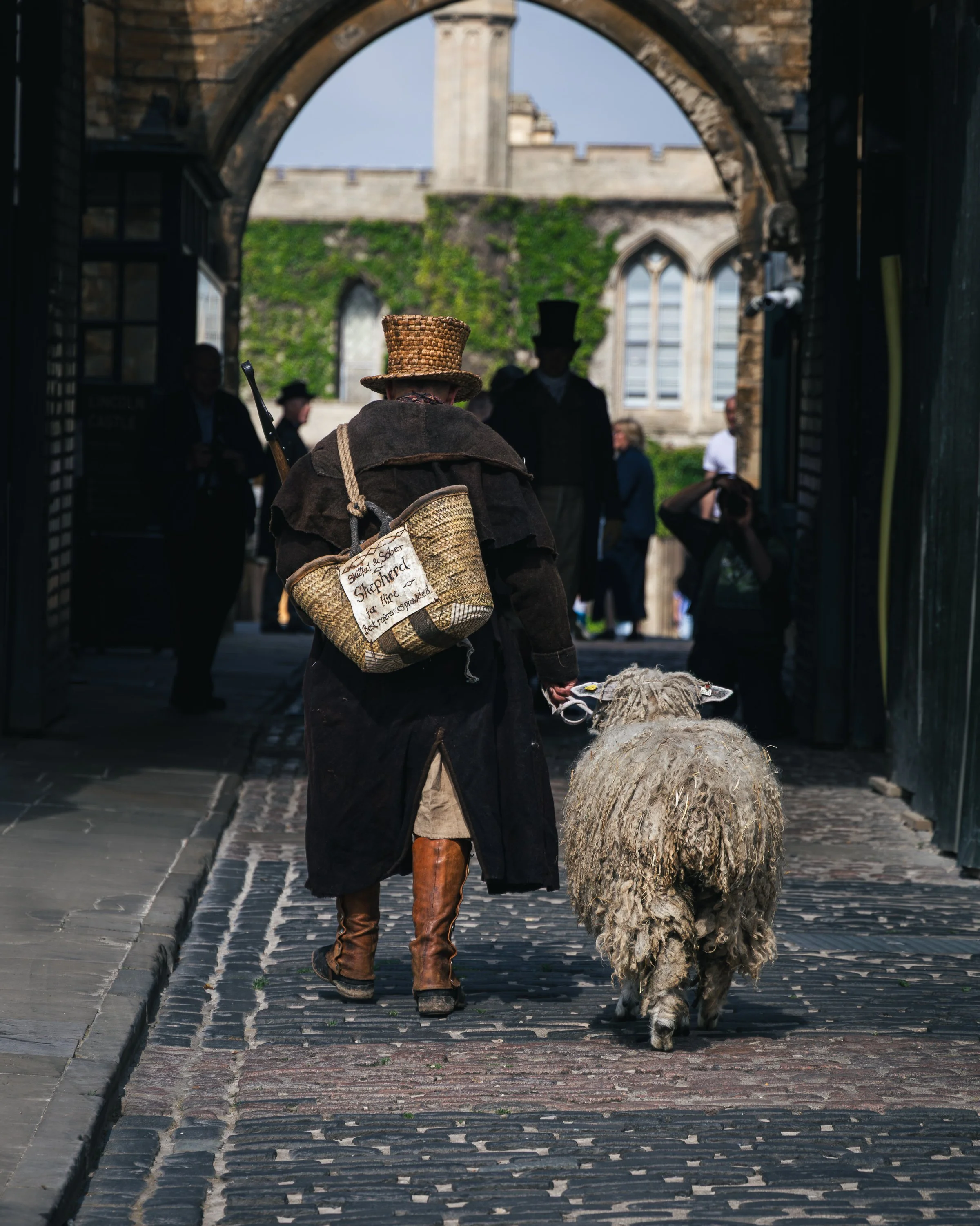 A person dressed in historical clothing walking on a cobblestone street alongside a large flock of sheep, with a stone archway and historic building in the background.