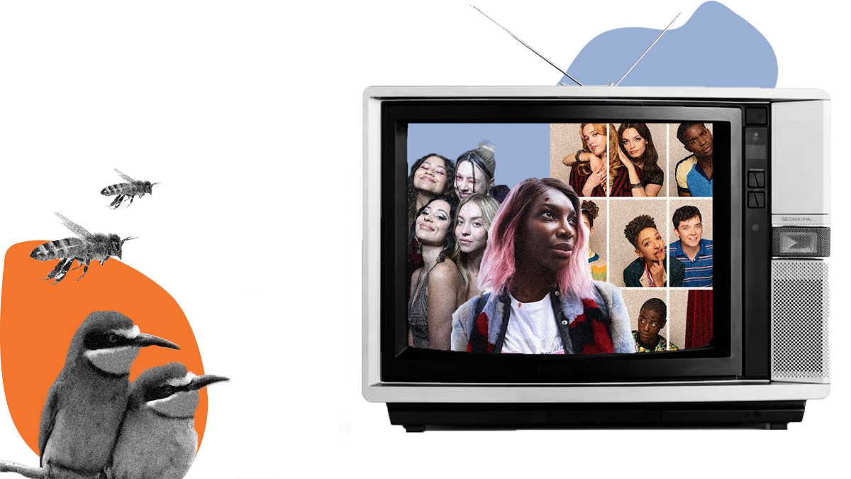 A picture of birds and bees watching a TV screen with images from the television shows Euphoria, I May Destroy You and Sex Education.