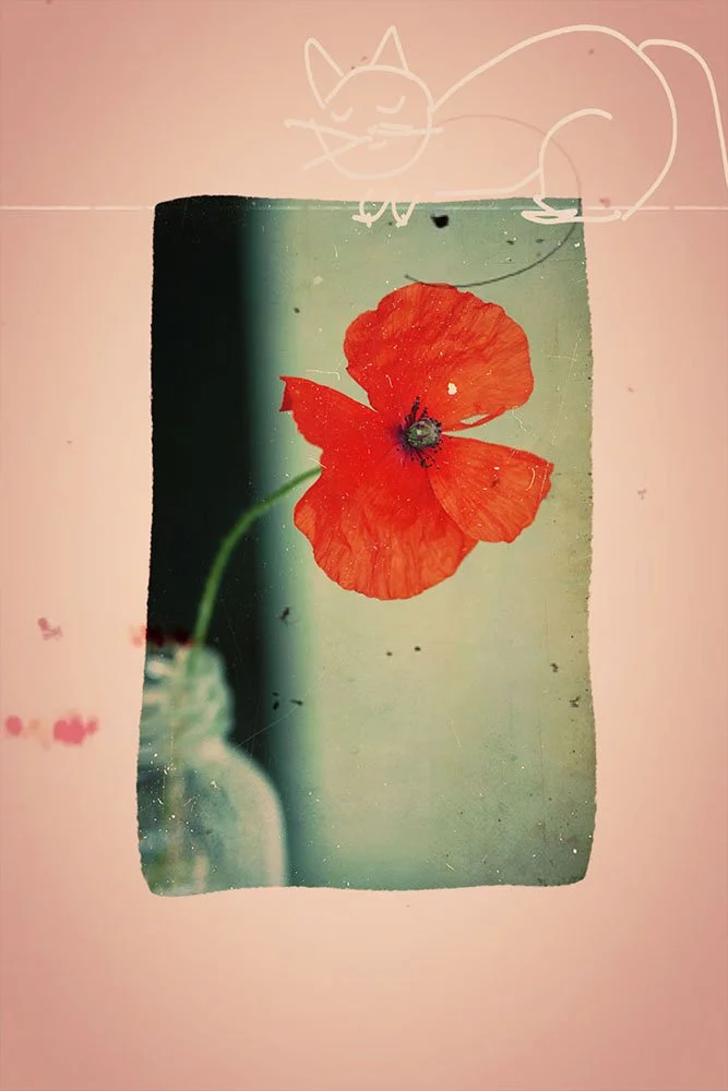 In love with a flower