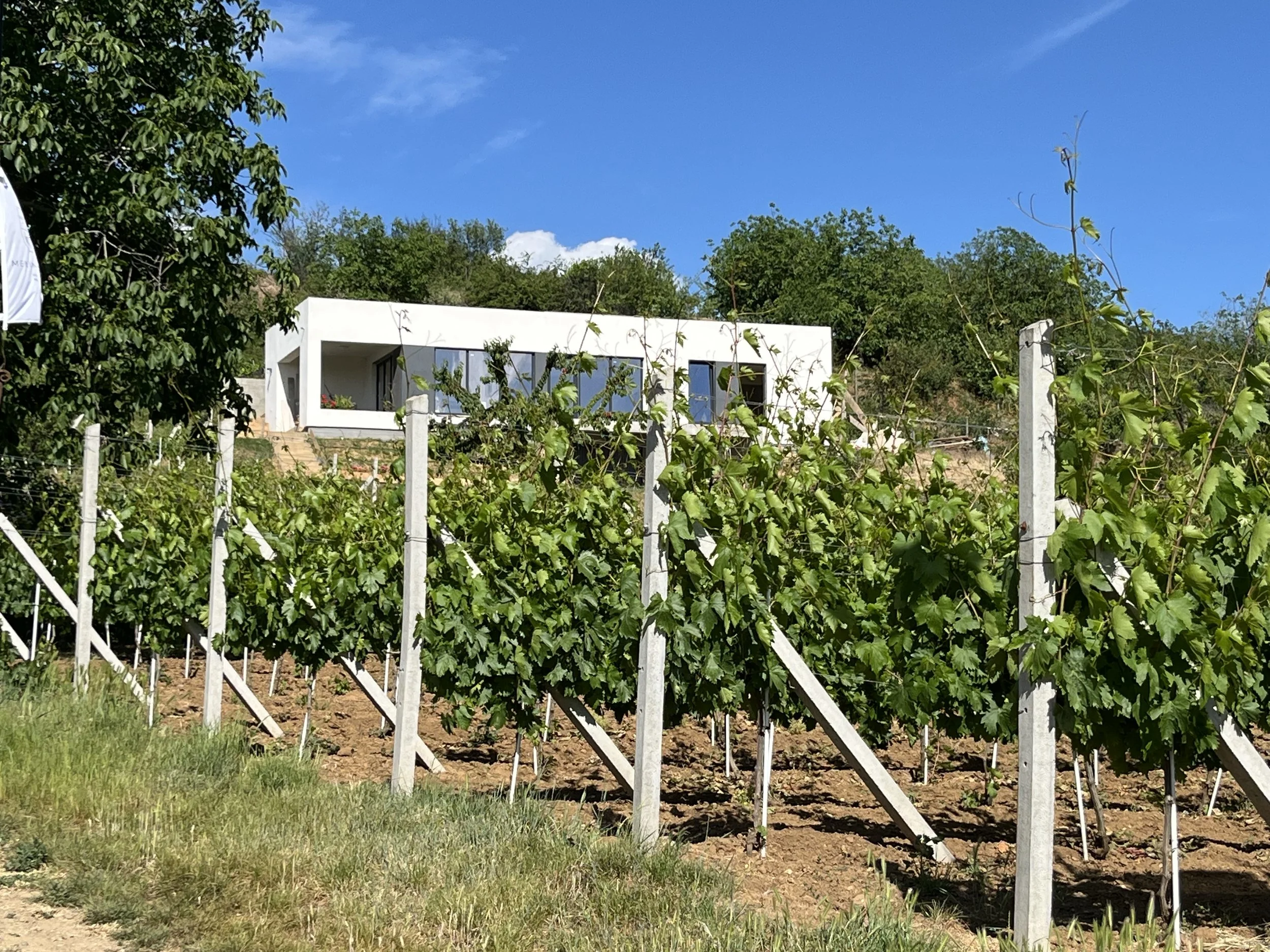 An image of Greenspacing.