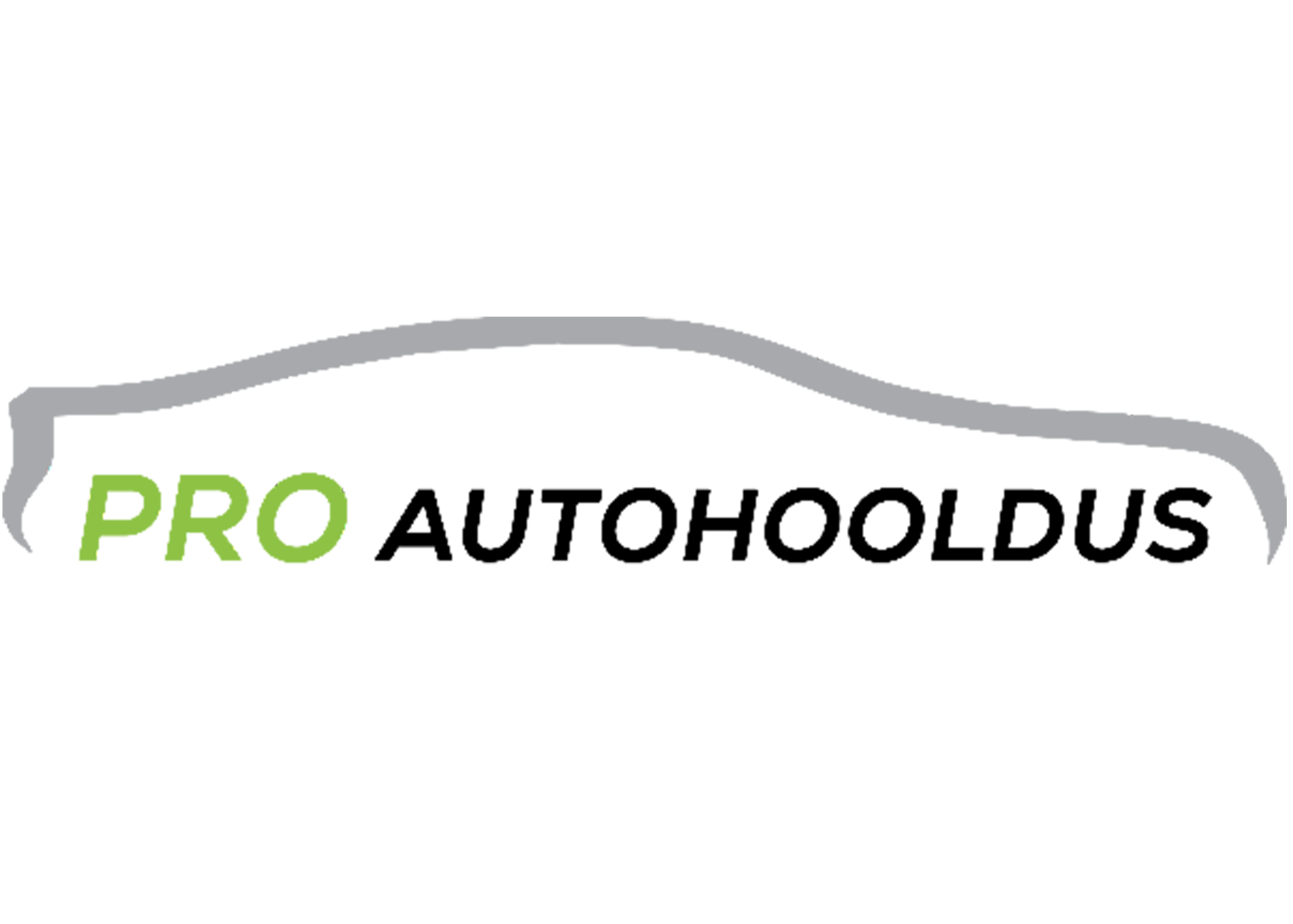 Pro AutoHoldus logo featuring a gray garage door outline with the words 'PRO AUTOHOLDUS' in green and black text.