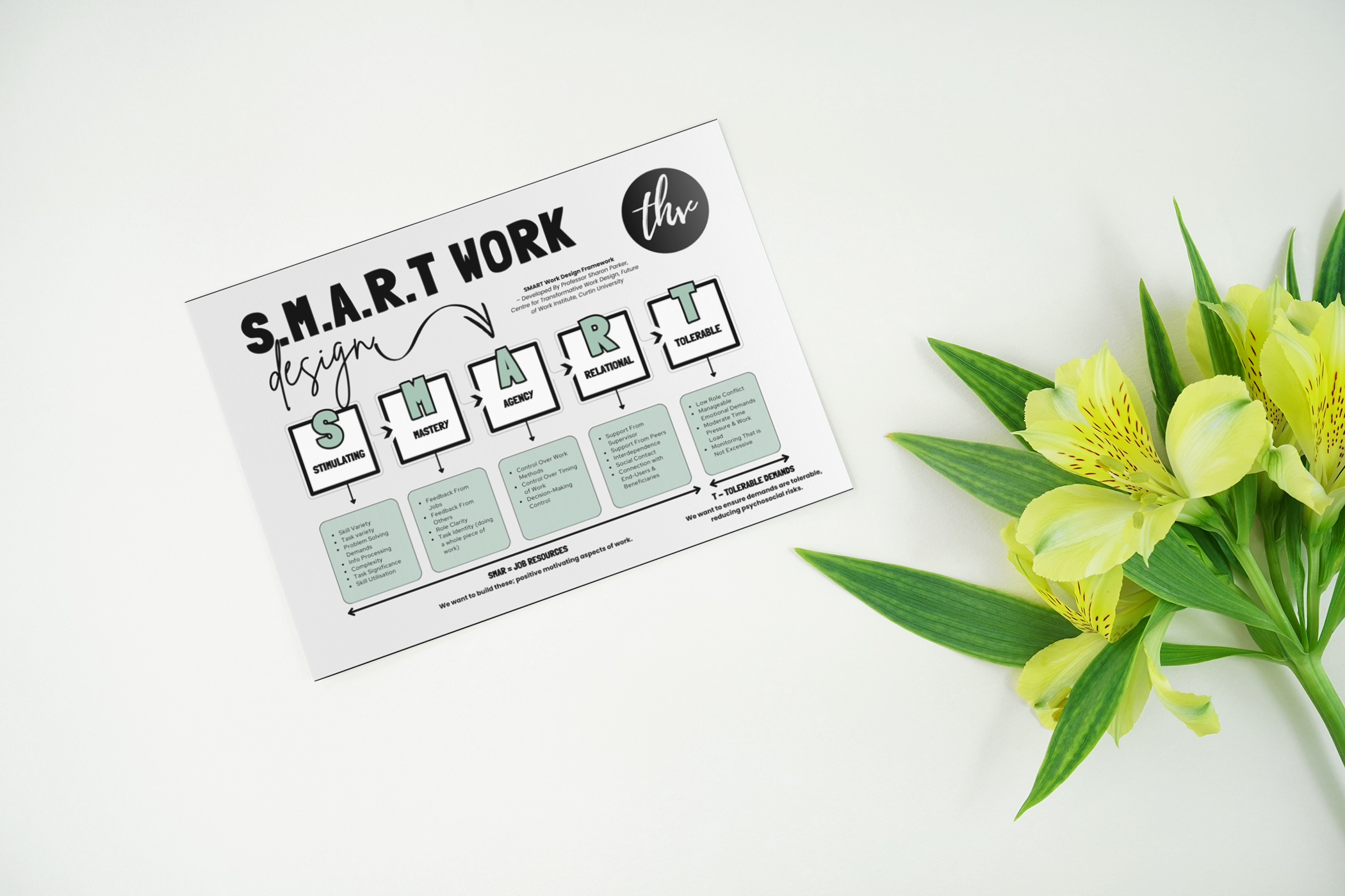 mediamodifier_image (14).png