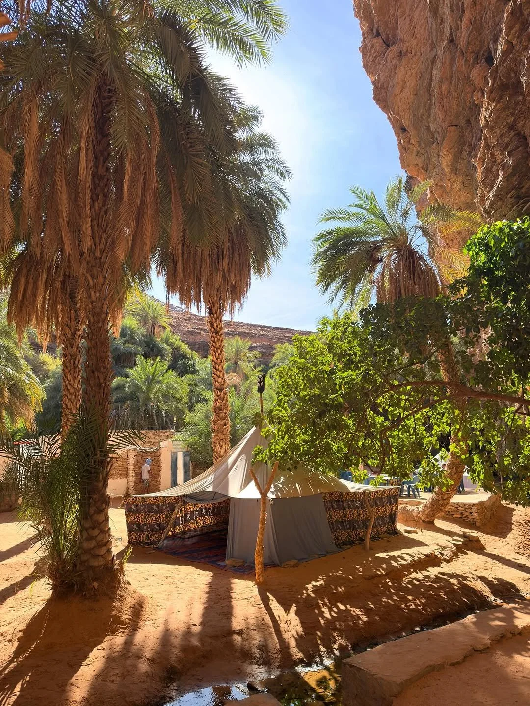 Tente dans un oasis désertique entourée de palmiers, dans un paysage rocheux ensoleillé.