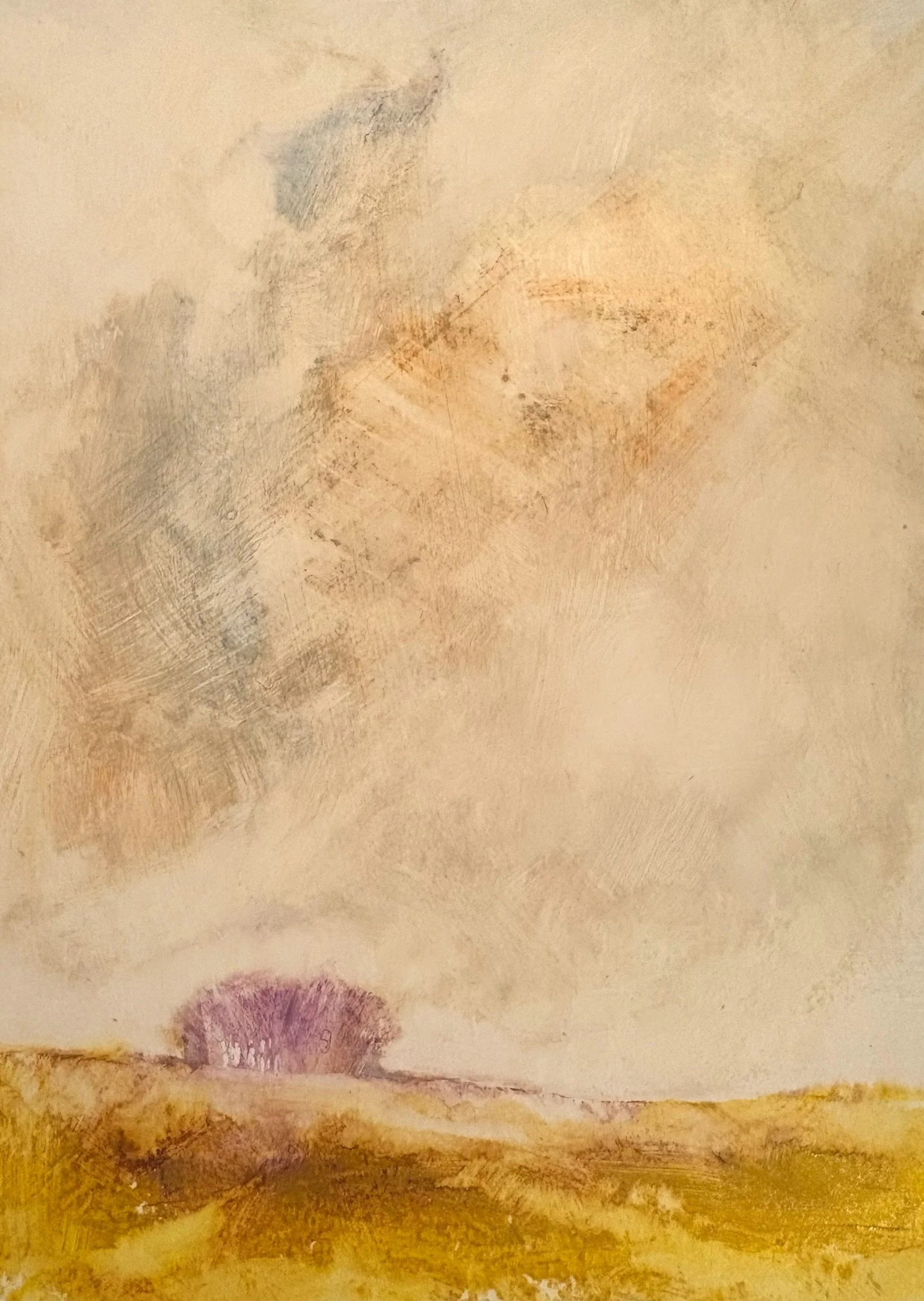 Rapeseed Yellow