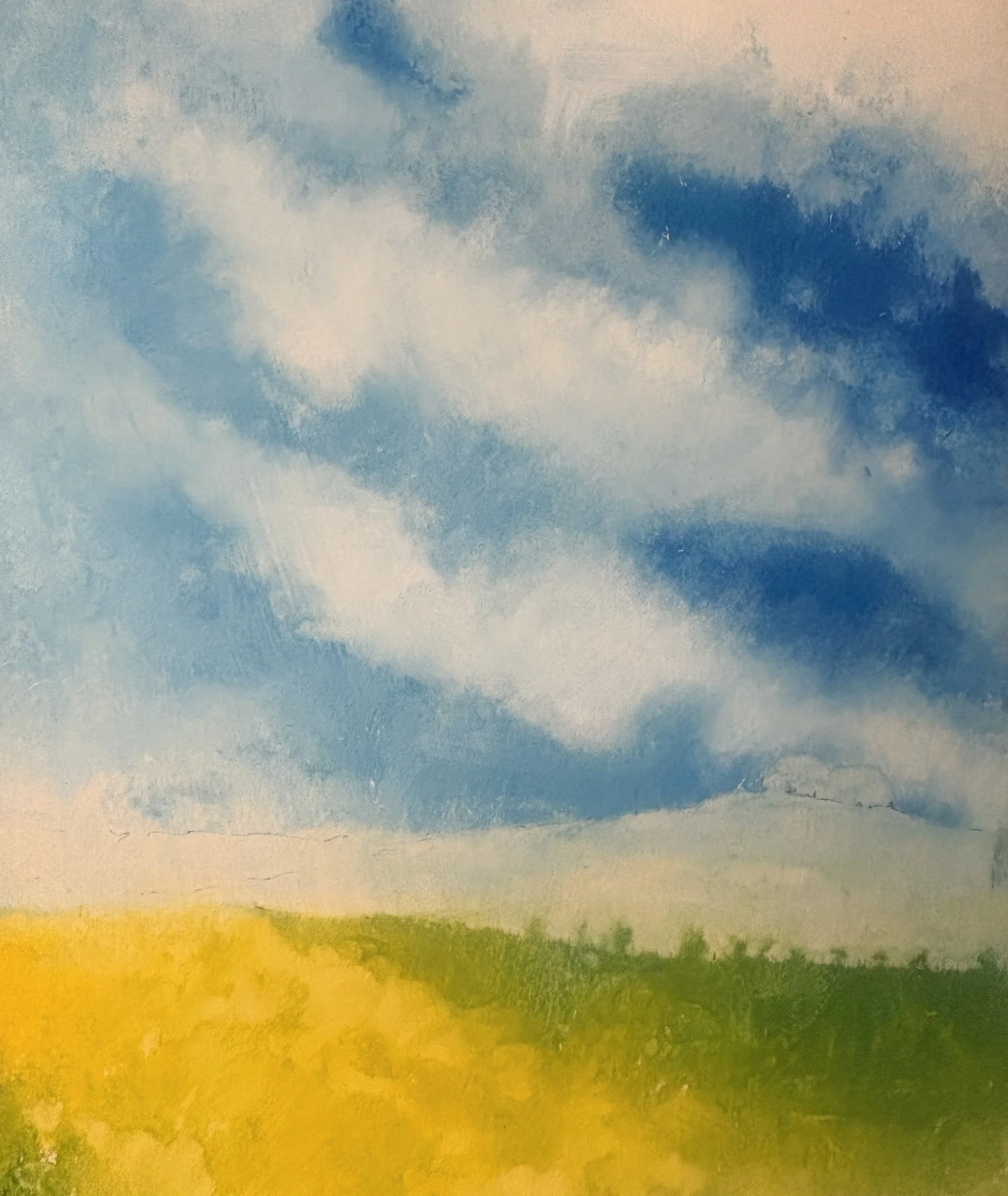 Luminous Rapeseed