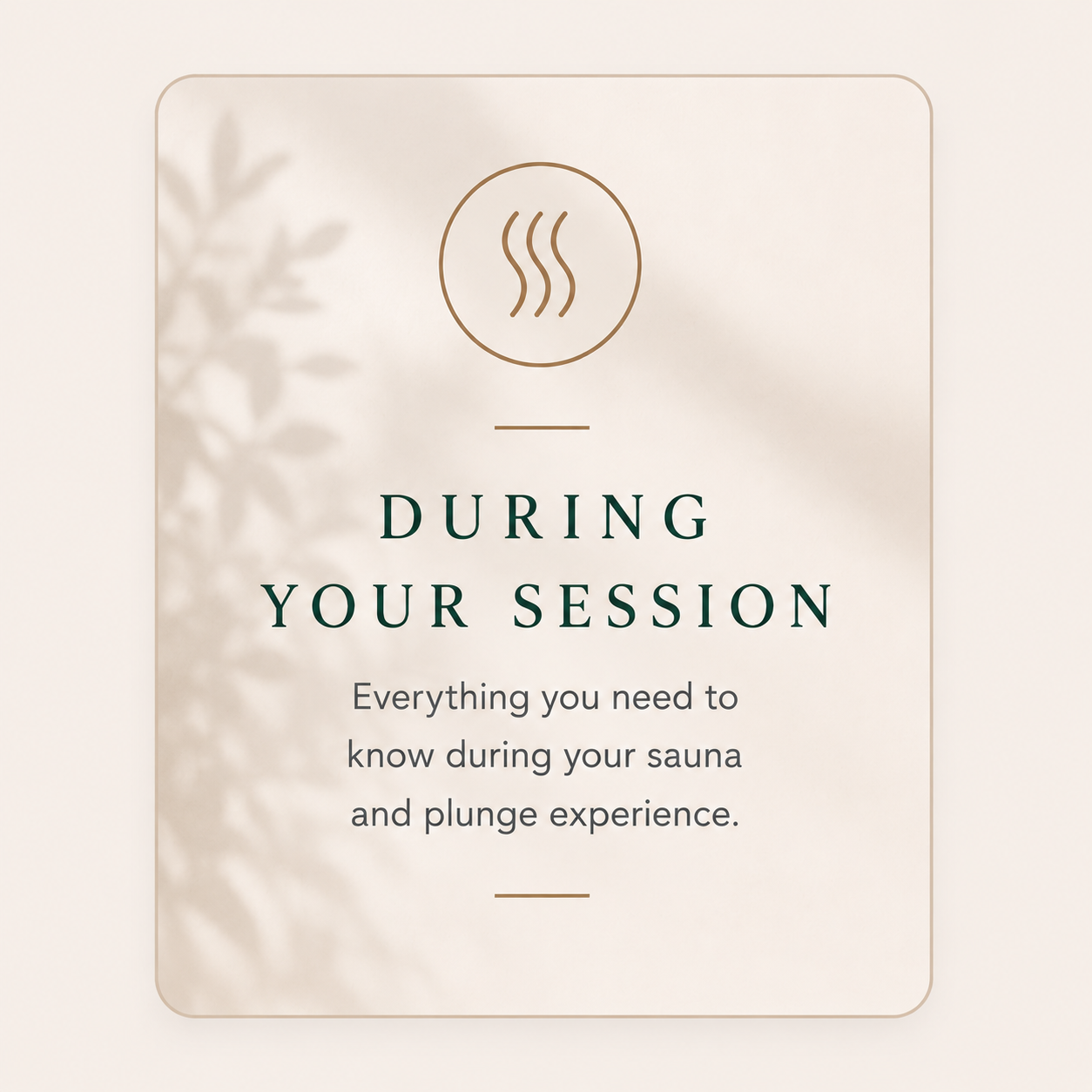 Guide on what to do during a sauna session, with an icon of steam, on a neutral background.
