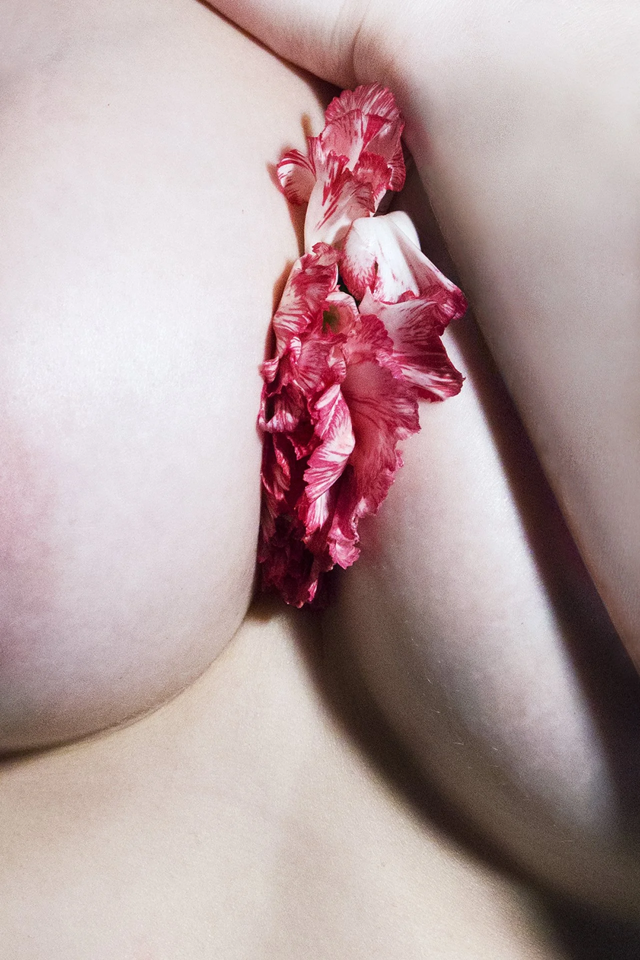 Daantje-Bons-Floral Dreams.jpg