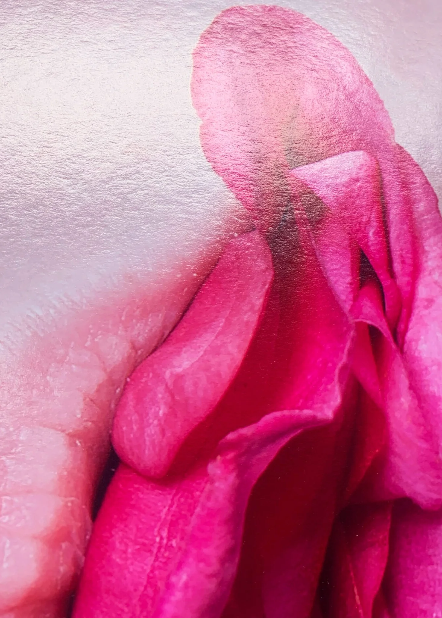 RoseLips_daantjebons_003-scaled.jpg