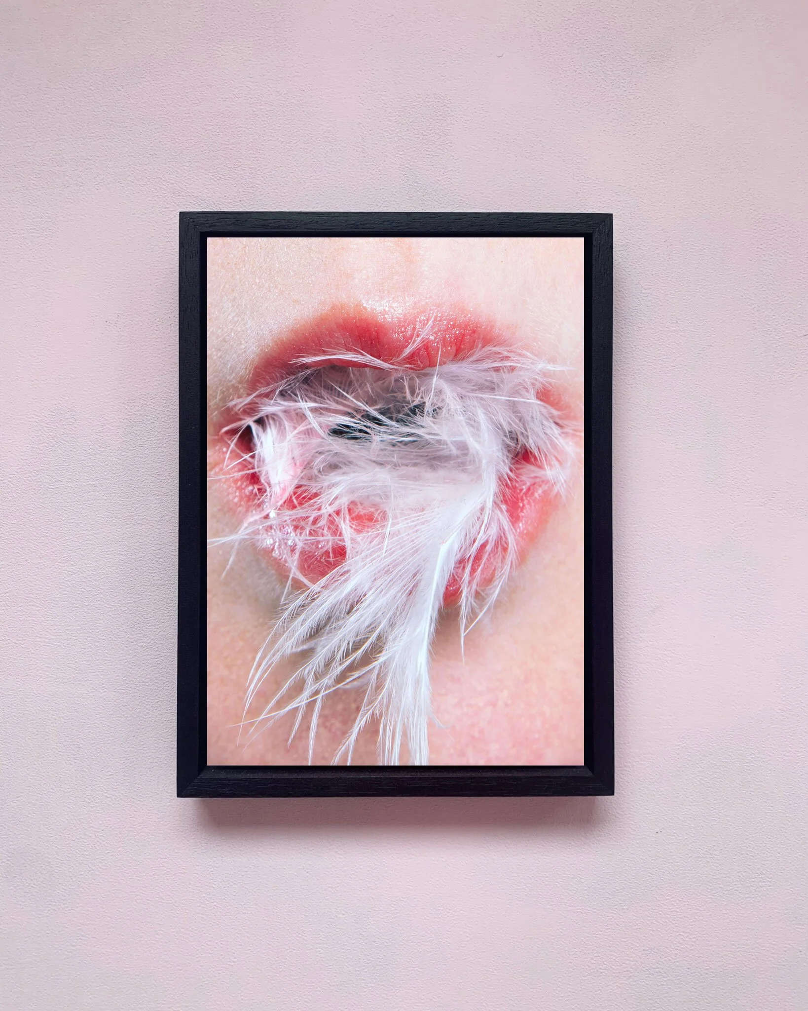 Feathers
