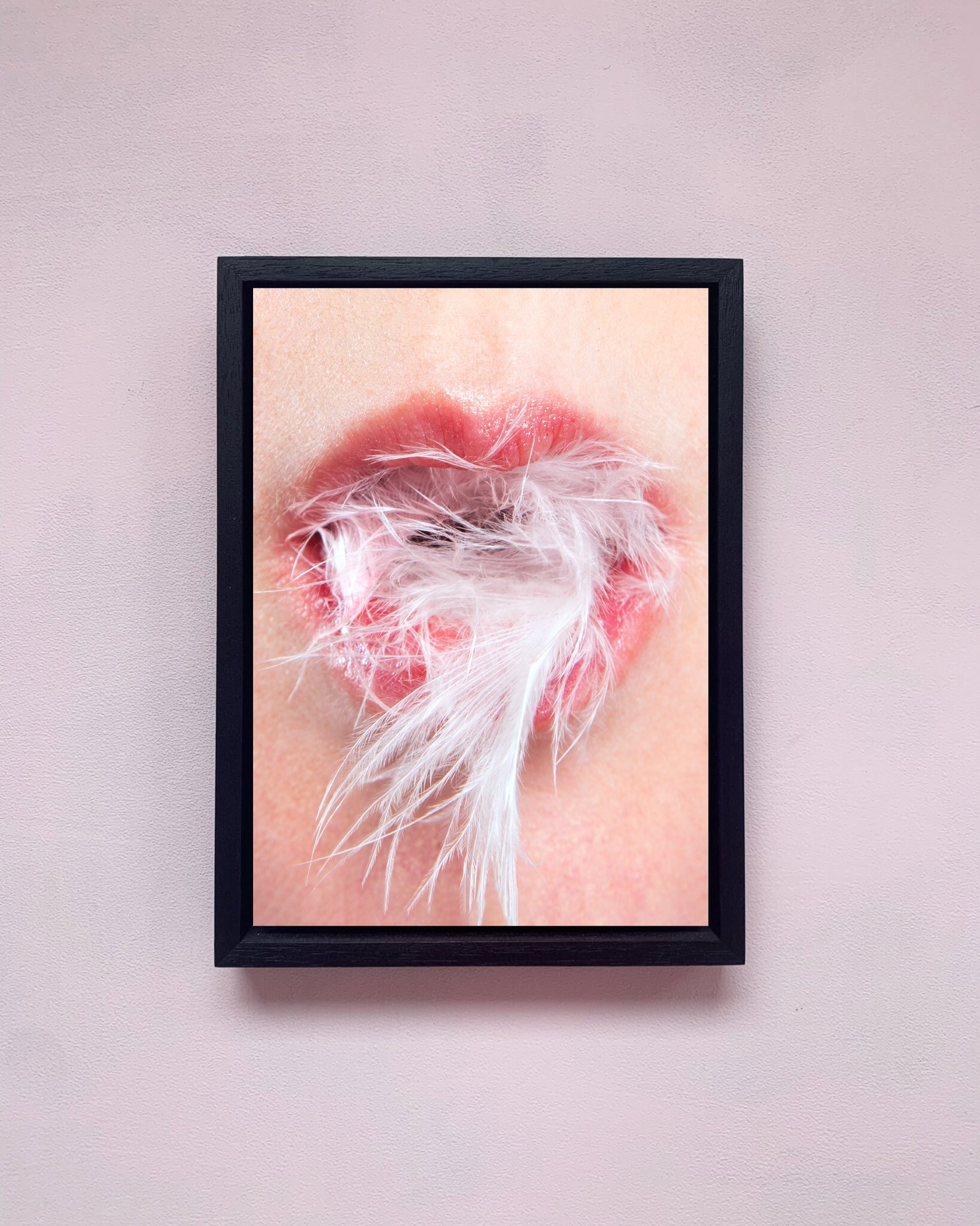 Feathers