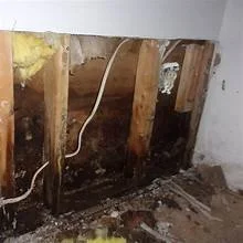 What Water Damage Really Looks Like Behind Your Walls