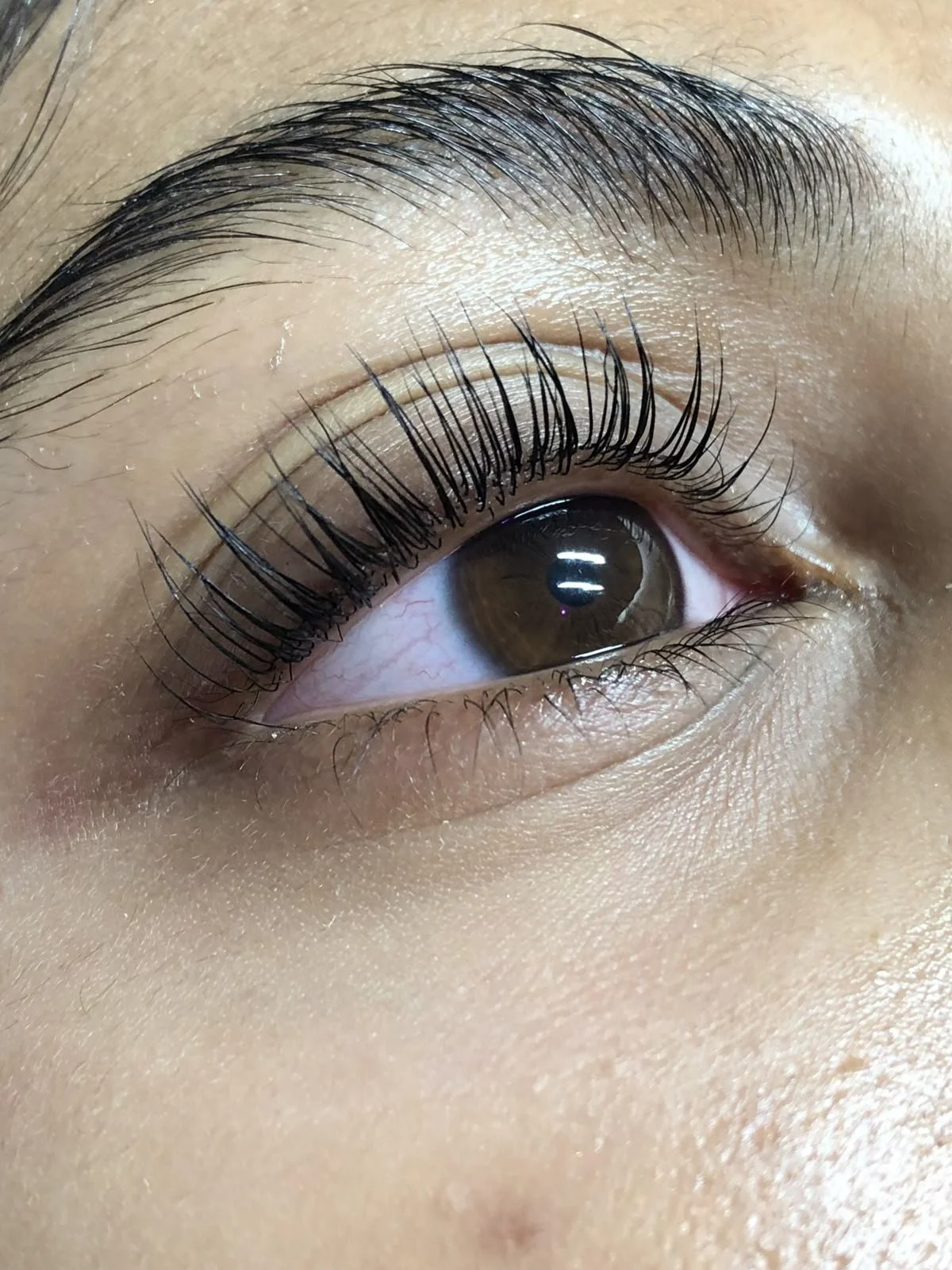 Close-up of a human eye with dark brown iris, long curled eyelashes, and well-groomed eyebrow.
