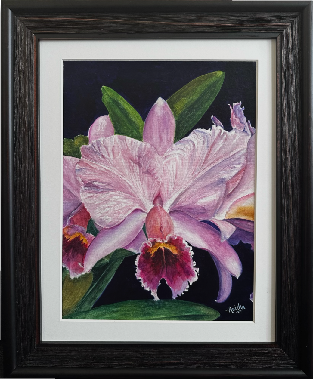 Spring Iris Bloom