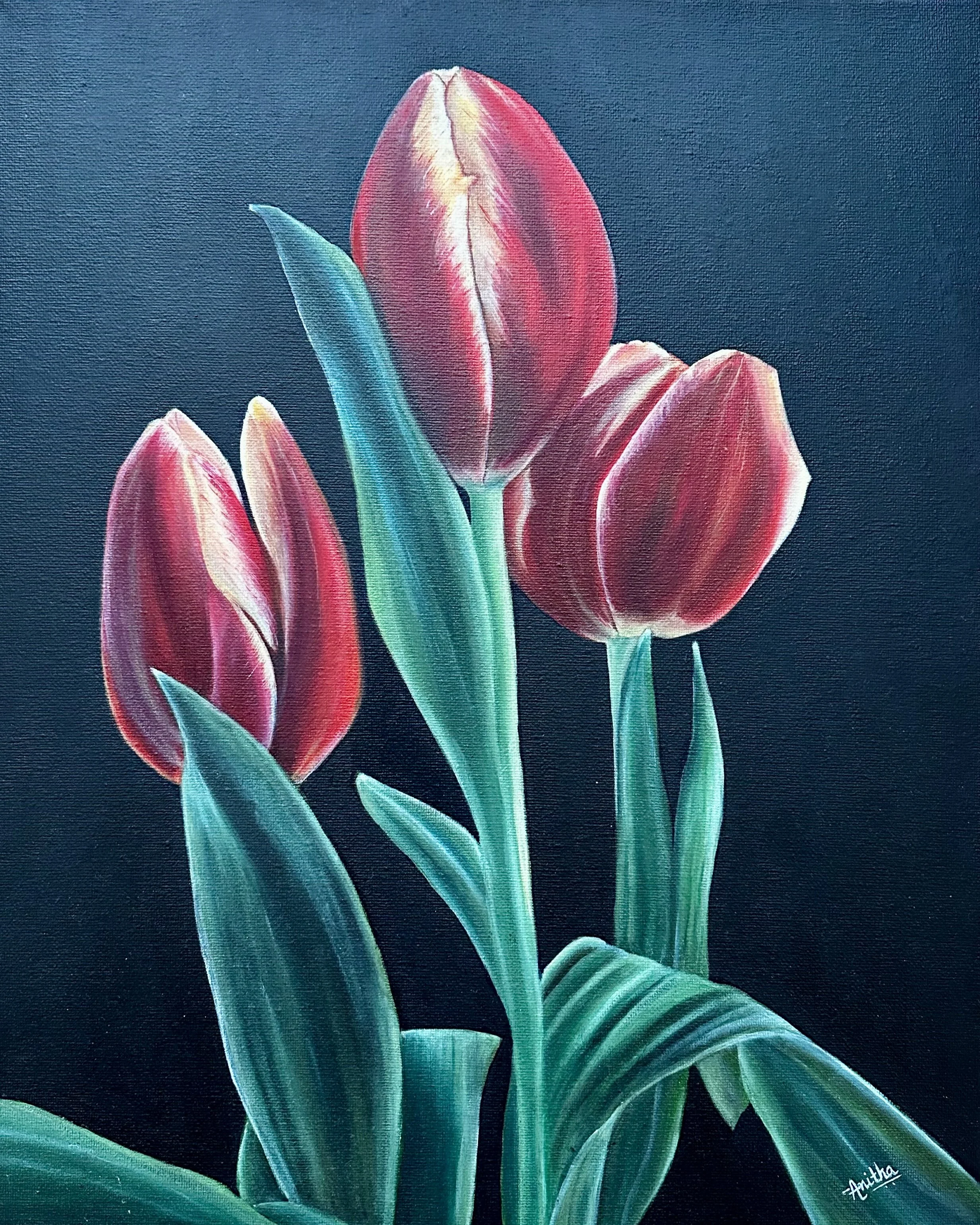 Midnight Tulips