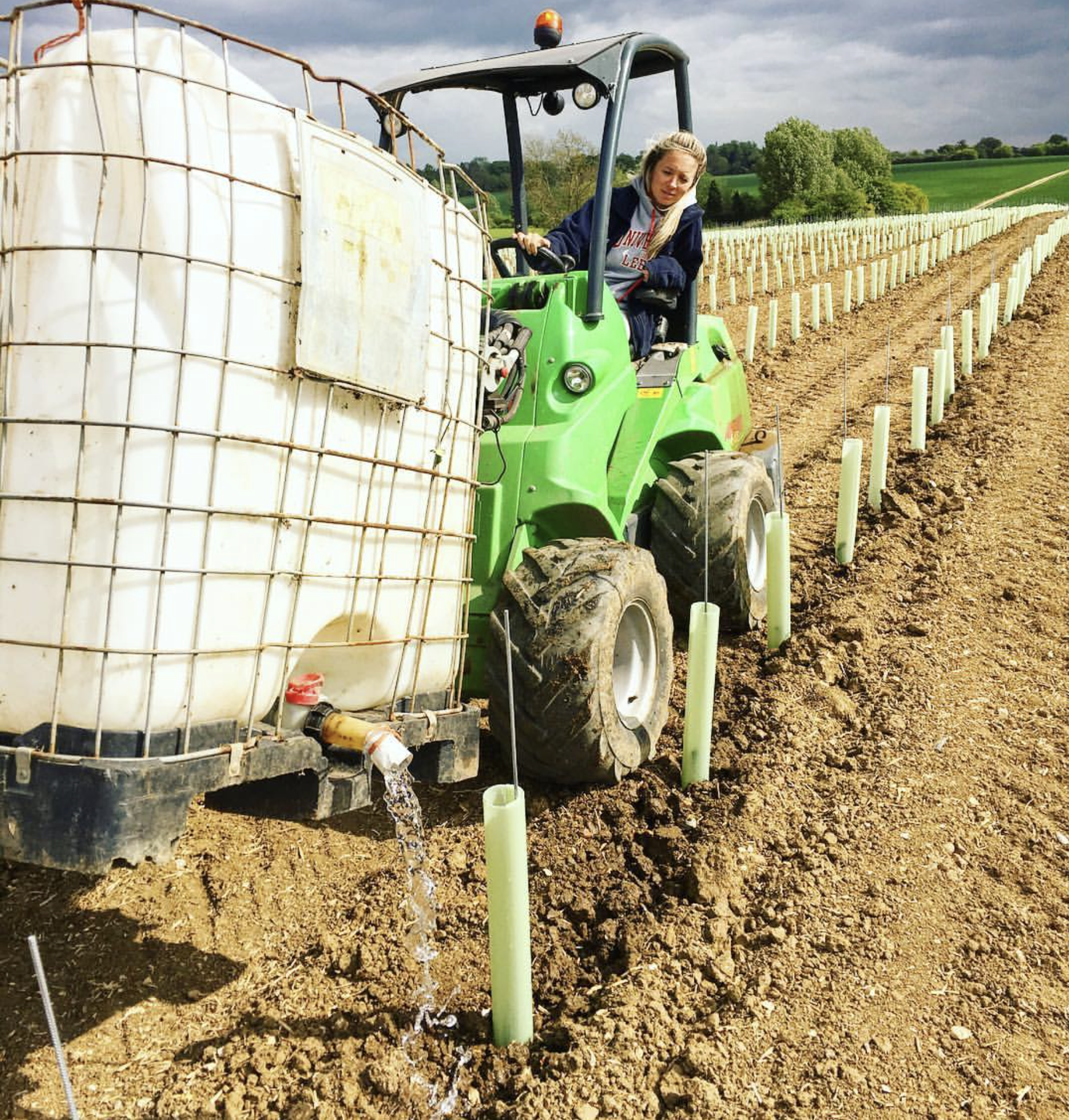 Kayleigh Pimblett watering sapling vines at the vineyard in Henham in Essex.
