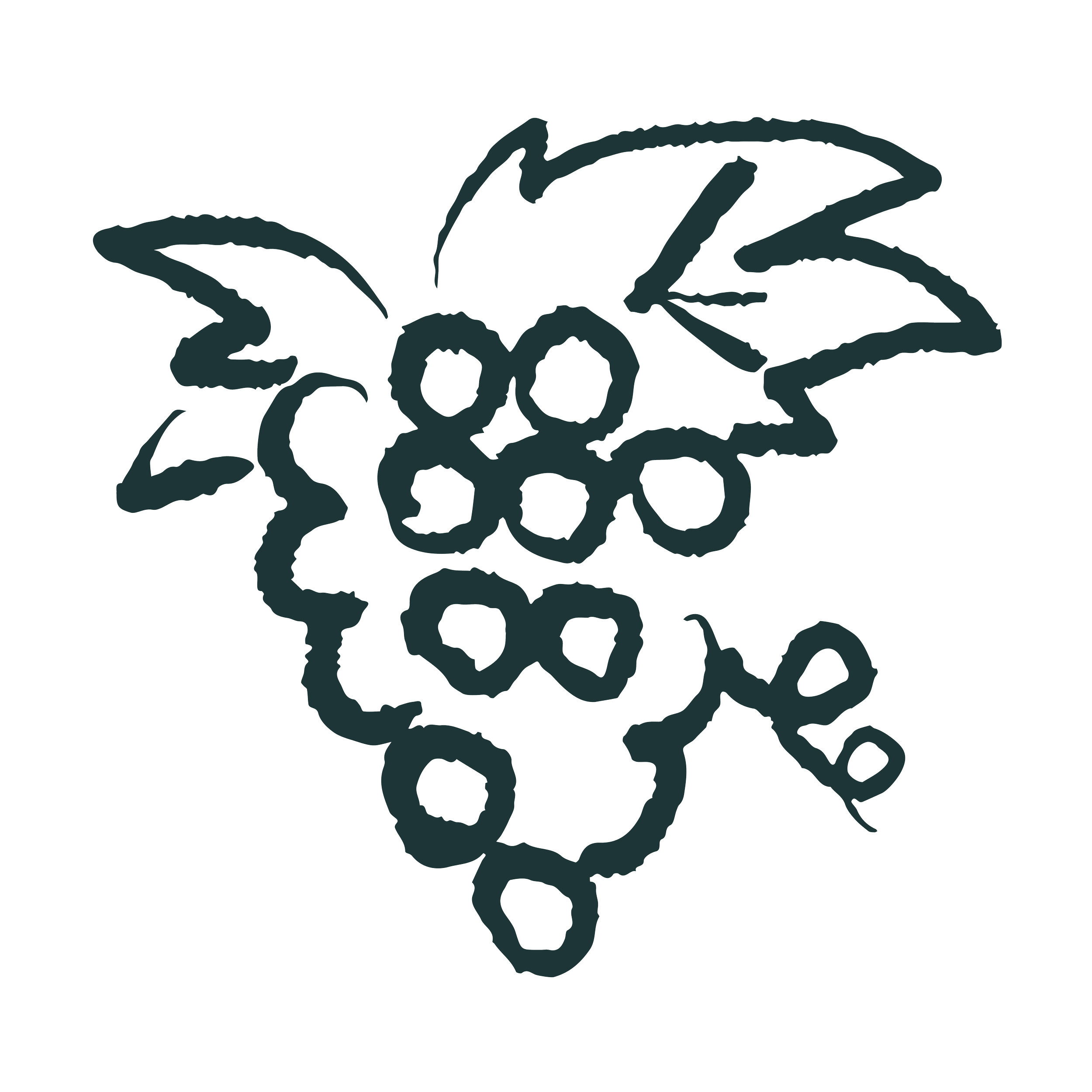 A hand drawn illustration of grapes