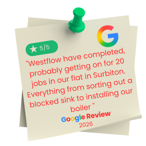 Westflow Google review 3.png