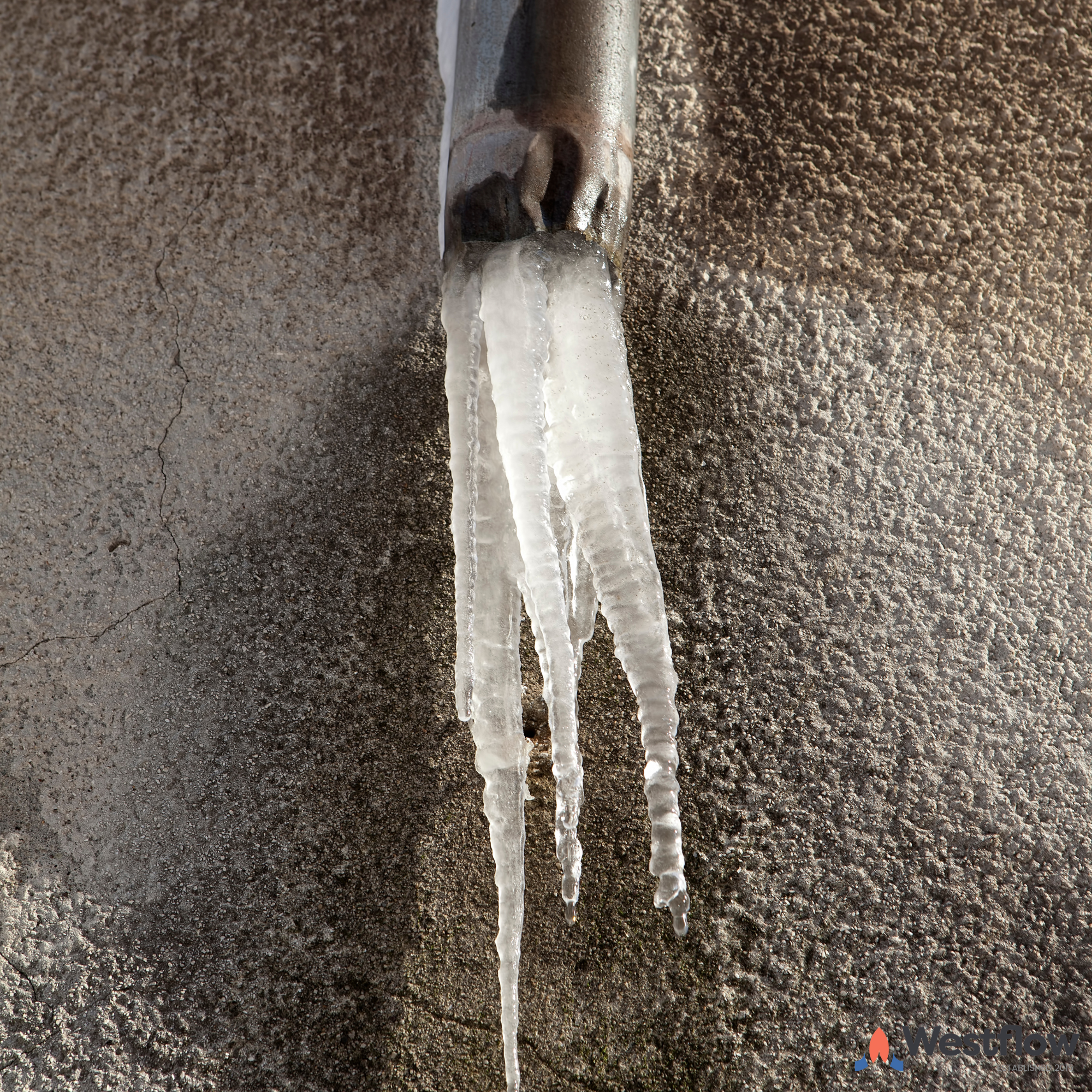 Frozen boiler condensate pipe: what to do