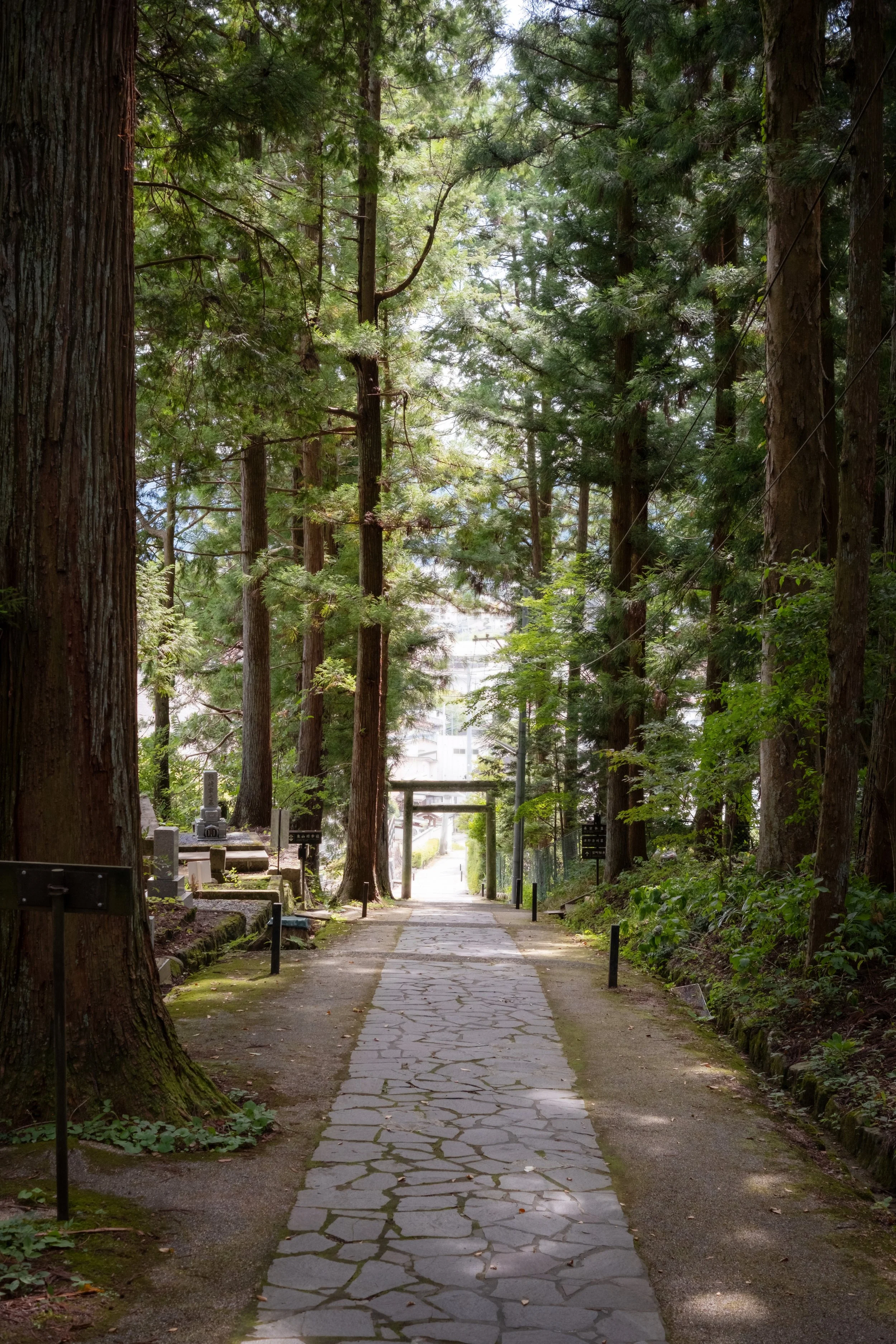 05_takayama_shrine.jpg