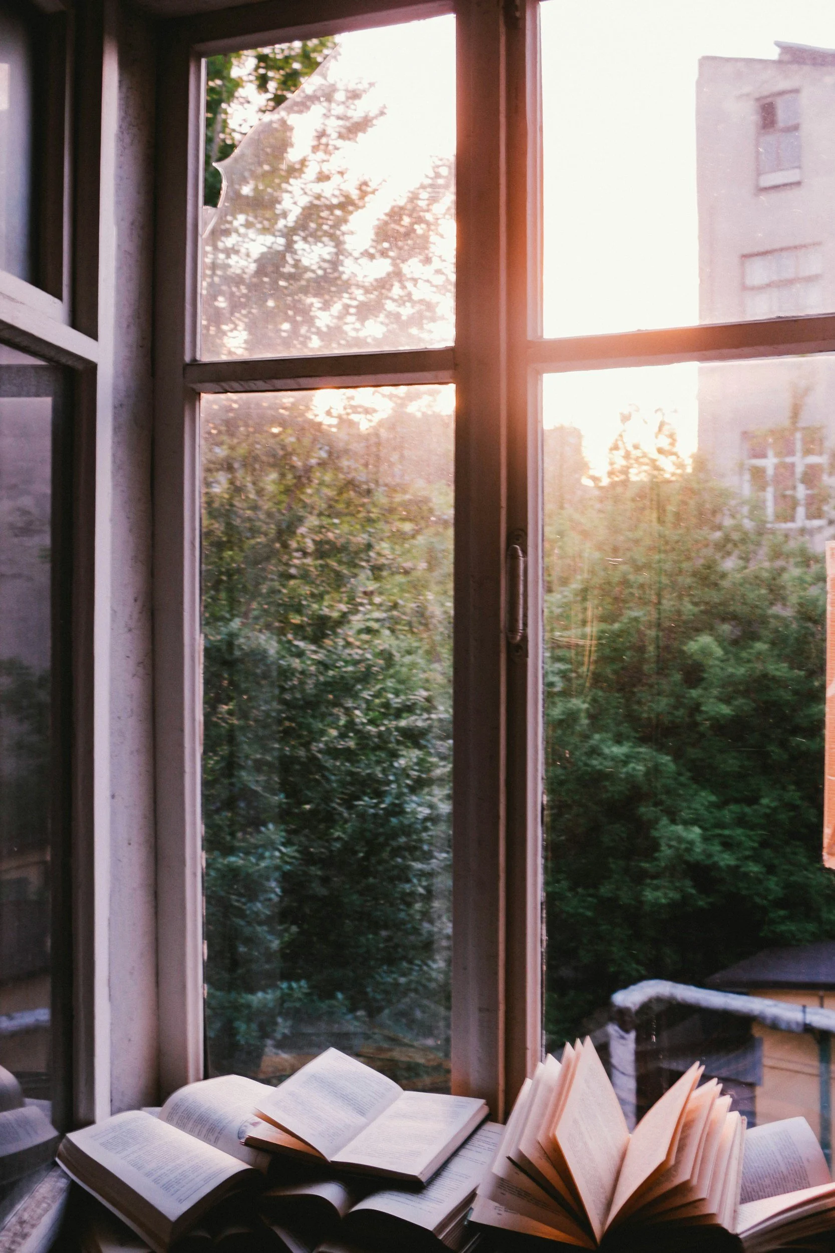 Open books on a windowsill with sunlight shining through the window, showing trees and building outside.