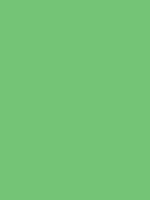 A closed green umbrella