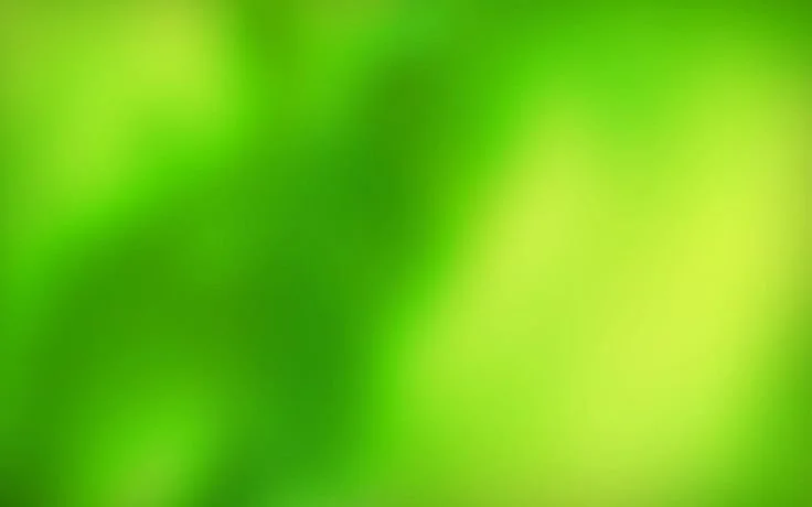 Blurred green abstract background.