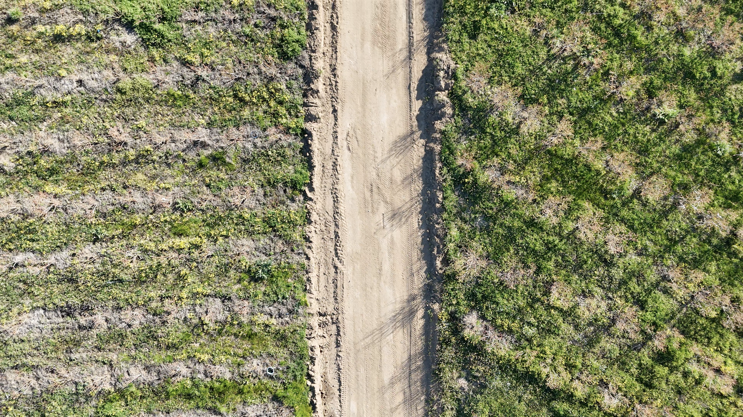 Aerial view of a dirt road cutting through lush green forest on both sides.