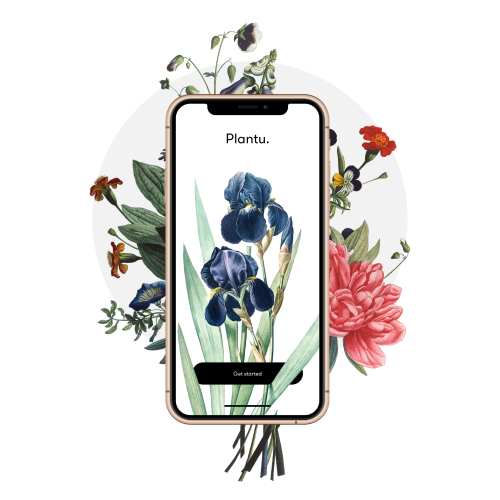 Making plant care feel simple, rewarding, and stress-free