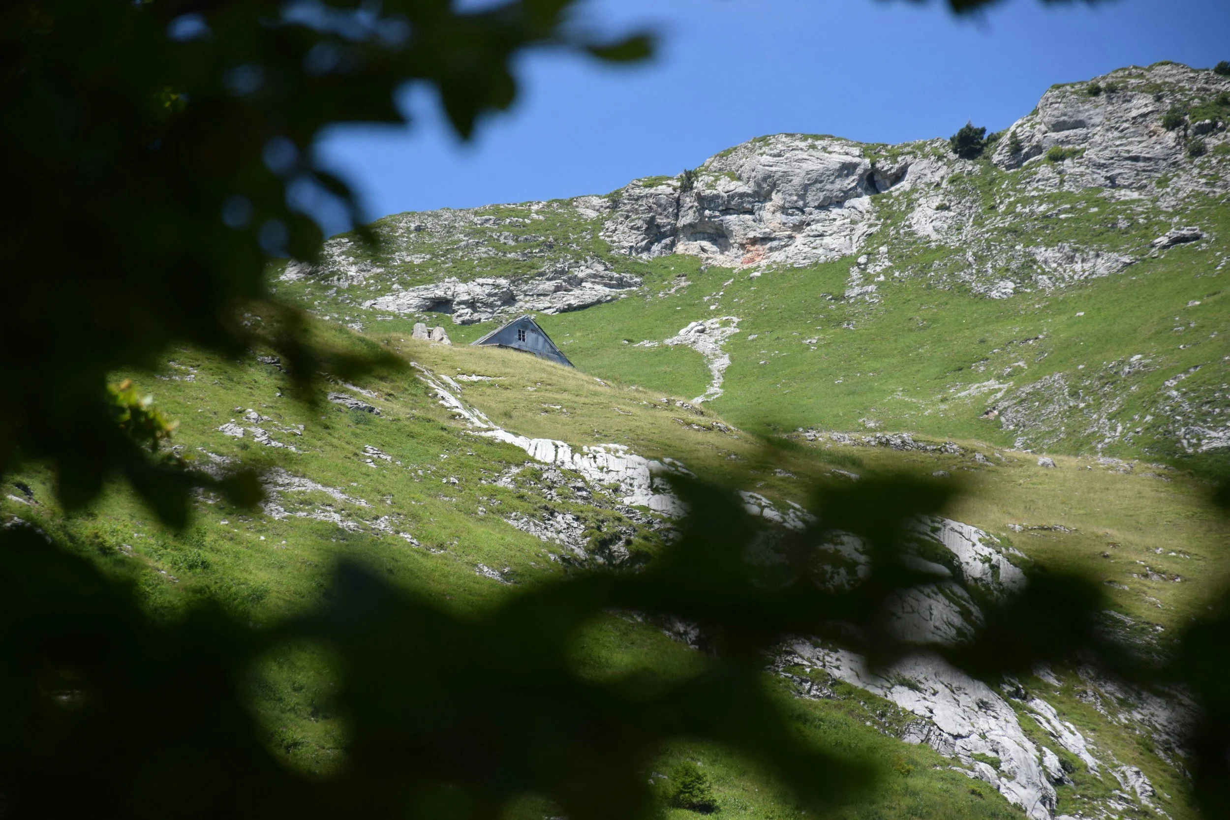 Montagne verdoyante avec une petite maison en bois et des rochers, vue partiellement cachée par des feuilles d'arbres.