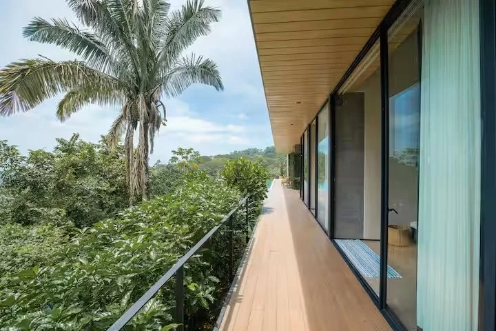 A balcony with wooden flooring and glass sliding doors, overlooking lush green trees and a large palm tree in a tropical setting.