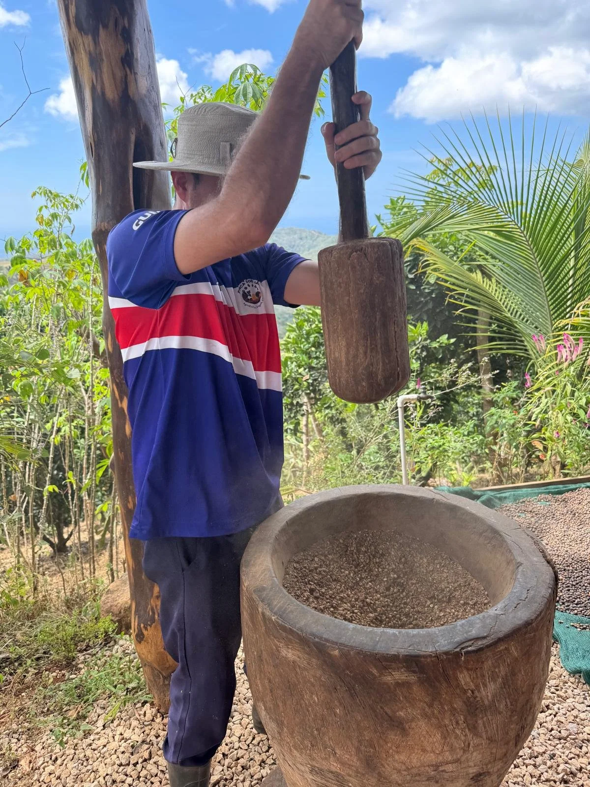 A person wearing a straw hat and a blue, red, and white striped shirt is operating a large wooden mortar and pestle outdoors amidst green trees and plants.