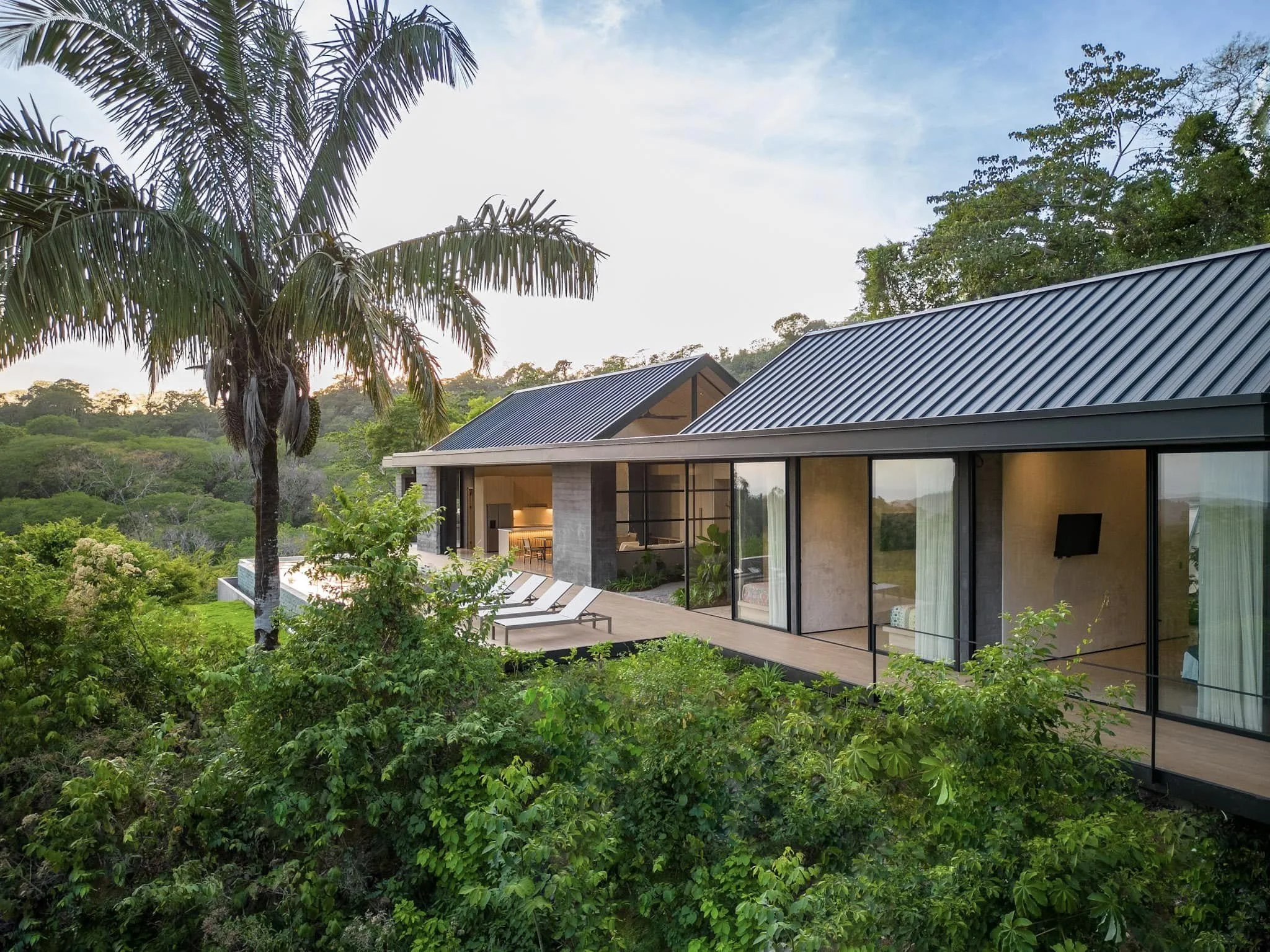 Modern house with large glass windows and a metal roof, surrounded by lush green trees and plants, with a palm tree in the foreground and a hilly landscape in the background.