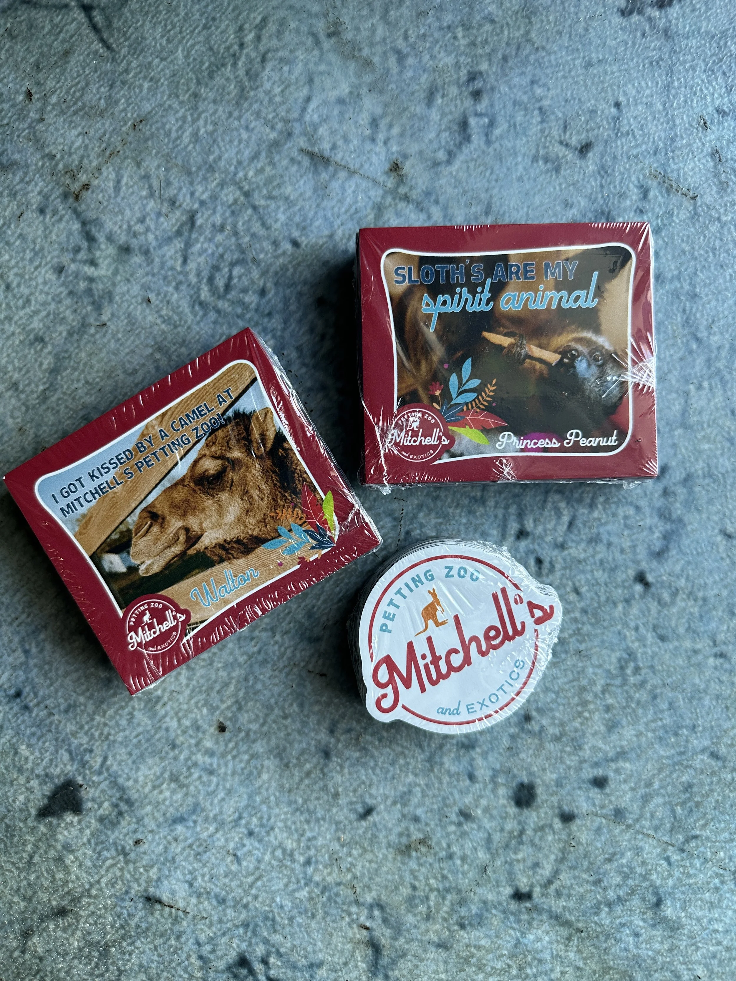 Two small boxes of Mitchell's pet treats on a rough concrete surface. The box on the right features a sloth and has the text 'Sloth's are my spirit animal' and 'Princess Peanut'. The box on the left shows a lion and includes the text 'Got kissed by a