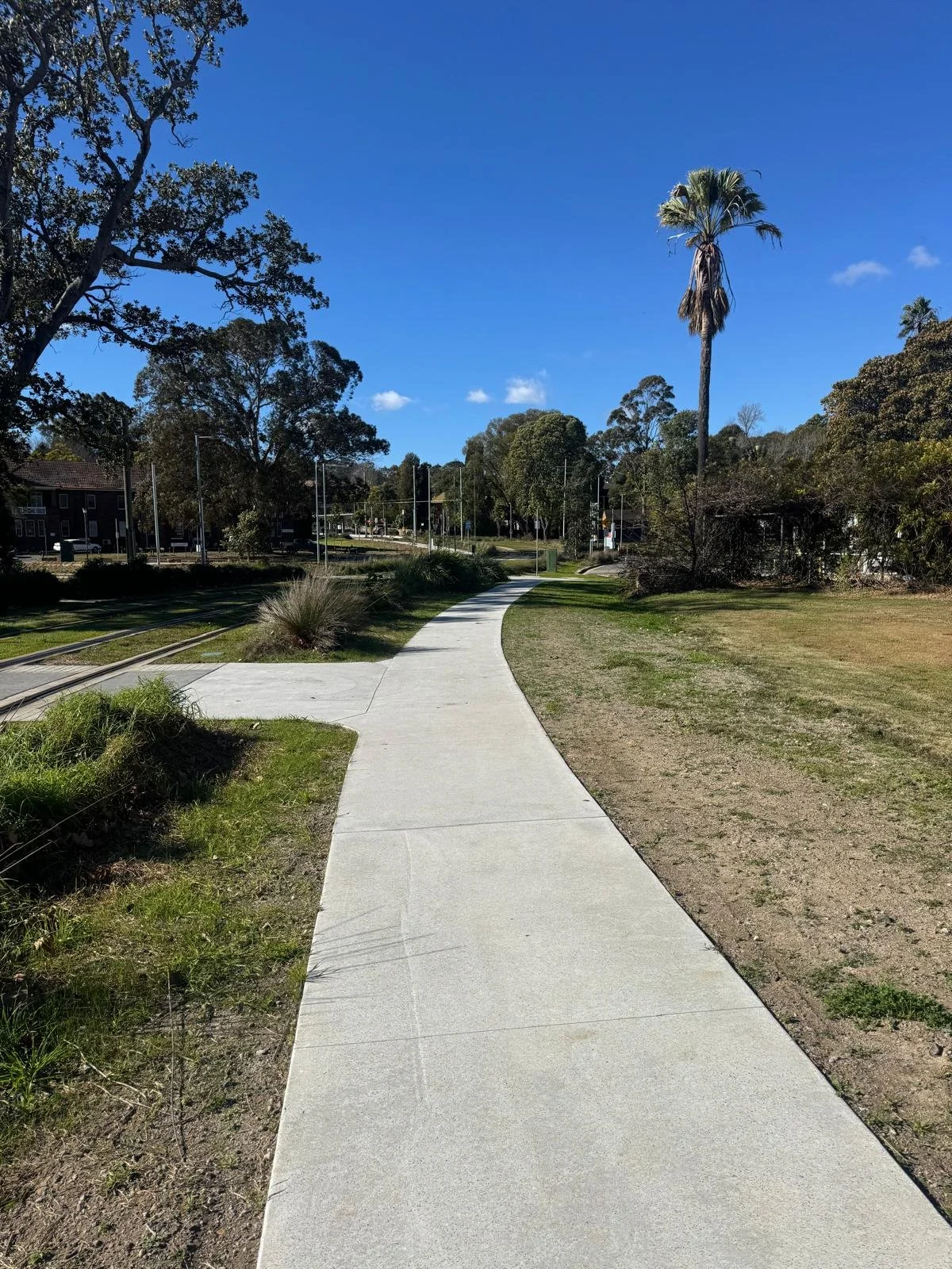 Parramatta Light Rail Paths (11).jpg
